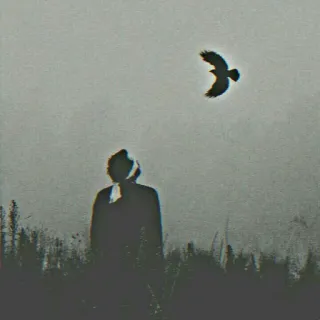 💔 0fedebdb 人, 鸟, 剪影, 天空, 自然, 田野 telegram sticker