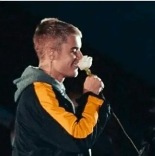 😀 dd329e58 Justin Bieber จัสติน บีเบอร์, นักร้อง, ดอกกุหลาบ, คนดัง, ป๊อปสตาร์ telegram sticker