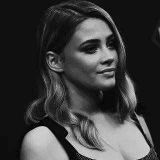 🕊 78dcc797 telegram sticker