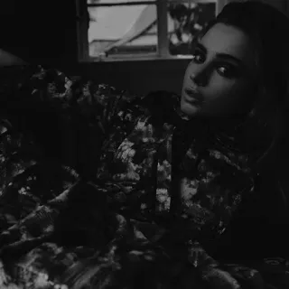 🕊 9202d55b telegram sticker