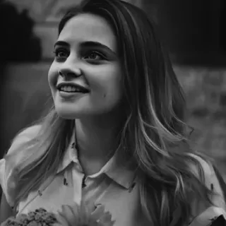 🕊 98518b1c telegram sticker