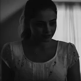 🕊 eb25b6f2 telegram sticker