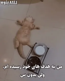 🤍 348d808a من به هدف های خود رسیده ام، ولی بدون سی chat, persan, texte, but, fatigué, drôle telegram sticker