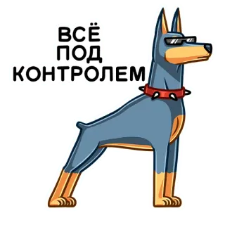 😎 45b83347 ВСЁ ПОД КОНТРОЛЕМ pies, doberman, okulary przeciwsłoneczne, kreskówka, wszystko pod kontrolą, naklejka, zwierzę telegram sticker