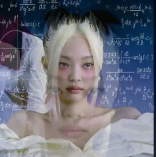 🌼 2d86021f Jennie 제니, 블랙핑크, K팝, 수학, 방정식, 밈 telegram sticker