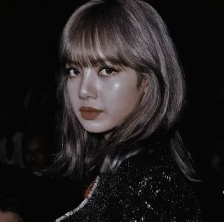 😐 9f1397ba Lisa Lisa, Kpop, Blackpink, 歌手, 名人, 发型 telegram sticker