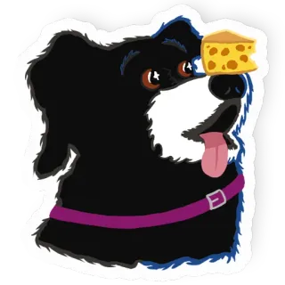 🧀 54f71de8 狗, 奶酪, 动物, 宠物, 贴纸, 可爱 telegram sticker