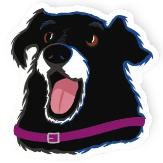 🤩 8bce3d2f 狗, 宠物, 动物, 卡通, 项圈, 友好的 telegram sticker