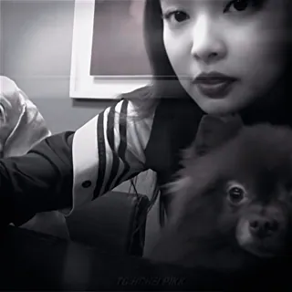 🫧 3208c873 telegram sticker