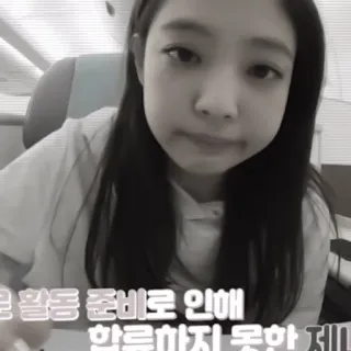 🌟 afdc4600 은 활동 준비로 인해 하루까지 못한 제니 whatsapp sticker