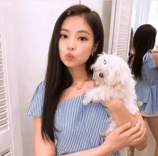 @jonafzan Jennie Blackpink whatsapp stickers