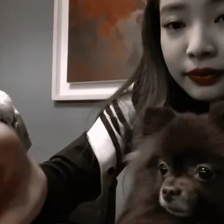 🎂``jennie ; @frenchkisssticker :: @fStikBot whatsapp stickers