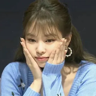 🥟 95a758dd telegram sticker