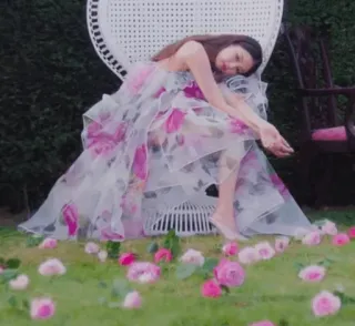 😴 03008858 wanita, gaun, bunga, kursi, kebun, potret telegram sticker