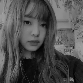 ⚙ d9ee269c telegram sticker