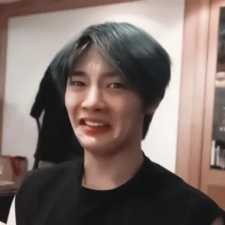 🦊 17a597fd korea, pria, potret, orang, laki-laki, meringis, jijik whatsapp sticker