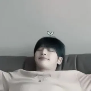 🦊 19a83ef8 whatsapp sticker