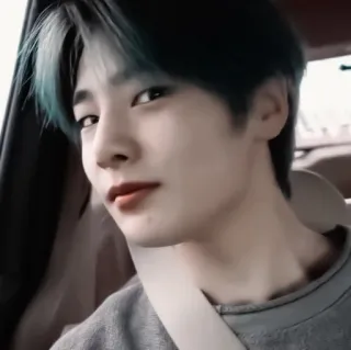 🦊 2fa3e884 whatsapp sticker