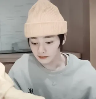 🦊 55e88168 whatsapp sticker