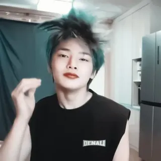 🦊 59478143 DENALI kpop, idol, fashion, gaya, gaya rambut, kaus tanpa lengan whatsapp sticker