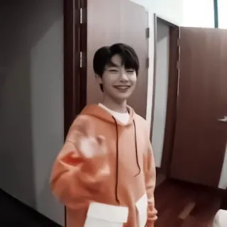 🦊 ee5cc7cb orang, senyum, hoodie, di dalam ruangan, gestur ofensif whatsapp sticker