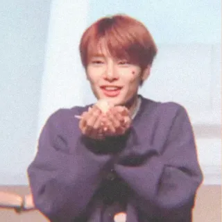 🌱 2801019b telegram sticker