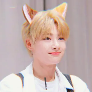 🌱 56dc5942 osoba, kocie uszy, portret, blond włosy, chłopak telegram sticker