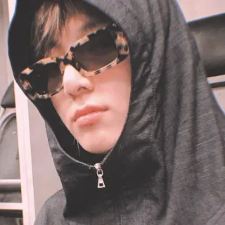 🐰 579d8f01 人, 太阳镜, 连帽衫, 时尚, 风格 telegram sticker