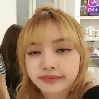 😏 1db17147 Lisa kpop, lisa, blackpink, 歌手, 音乐, 偶像, 名人 telegram sticker