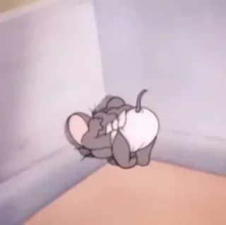 ᴊᴇʀʀʏ @wanda_stickerpacks whatsapp stickers