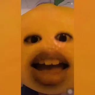 🍊 df8598bf telegram sticker