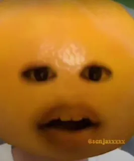 🍊 ff6594e3 @senjaxxxxx naranja, fruta, divertido, meme, cara, naranja molesta telegram sticker
