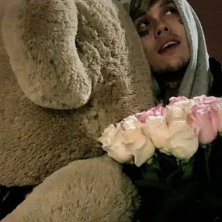 💐 e23dc3f5 person, hoodie, flowers, teddy bear telegram sticker