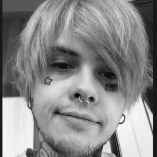 😒 ec7eb195 person, portrait, man, face telegram sticker