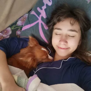 ❤️ 48fdd495 ผู้หญิง, หมา, สัตว์เลี้ยง, นอน, เตียง, ผ้าห่ม, น่ารัก, สัตว์ telegram sticker