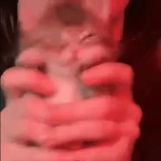 ❤️ 1767e646 gattino, gatto, animale, animale domestico, carino, mani, sfocato whatsapp sticker