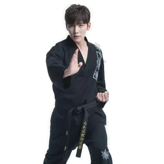 👊 9ba58c23 seni bela diri, taekwondo, sabuk hitam, seragam, korea, korea, Ji Chang Wook whatsapp sticker