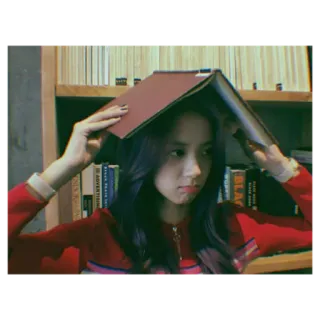 🌻 235dfe73 whatsapp sticker