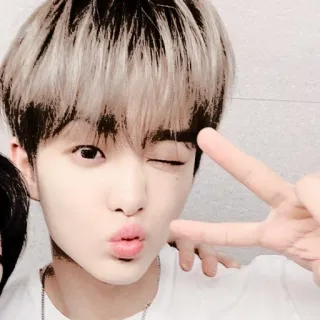 🐼 11d035fc persona, faccia, occhiolino, gesto, ritratto telegram sticker