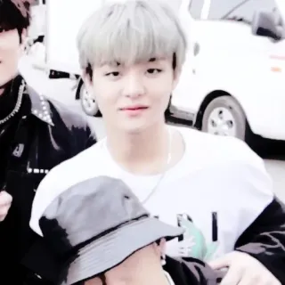 🐼 16e9eb9d telegram sticker