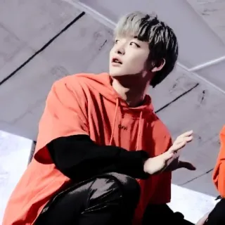 🐼 9439304f telegram sticker