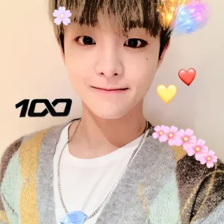 🐼 bb901110 100 Selfie, Ritratto, Persona, Giovane uomo, Floreale, Cuori telegram sticker