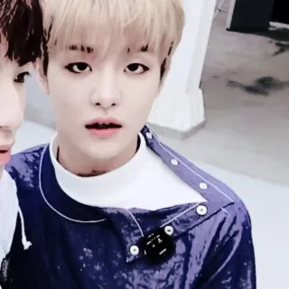 🐼 ef8dfb1e telegram sticker