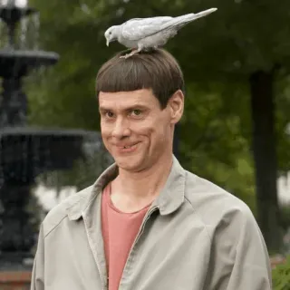 🕊 caaed605 Lloyd Christmas Dumb and Dumber commedia, uccello, stupido, Jim Carrey, film telegram sticker