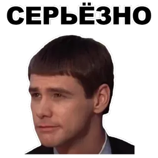 😌 ab6c6535 СЕРЬЁЗНО jim carrey, dumb and dumber, movie, comedy, serious whatsapp sticker