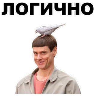 😀 c0204a5b Jim Carrey Dumb and Dumber ЛОГИЧНО jim carrey, dumb and dumber, movie, comedy, bird, логично, logical whatsapp sticker