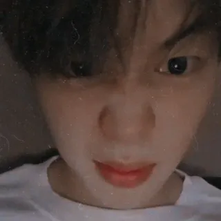 🐣 46d3523e telegram sticker