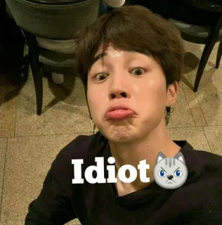 🌟 69c70f5b Idiot 侮辱, 冒犯, 猫, 表情, 贴纸 telegram sticker