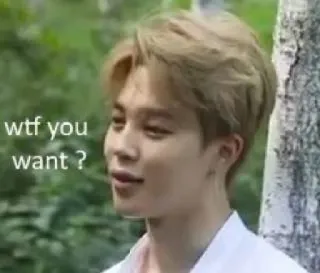 🤨 77423a12 wtf you want ? Meme, Engraçado, Irritado, Pergunta, WTF telegram sticker