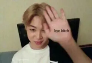 🤚 7744986f bye bitch Meme, Ofensivo, Adeus, Despedida telegram sticker